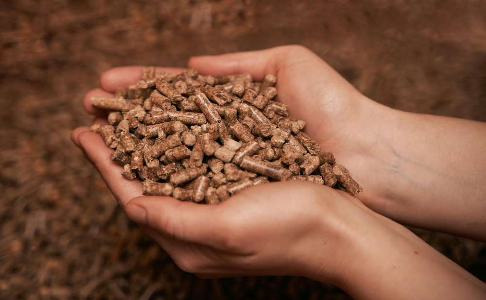 Is biomass energy good for the environment