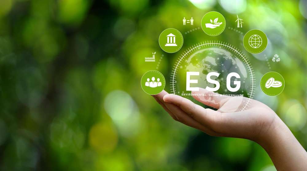 Why is ESG so popular? A look at the trend that's here to stay - Permutable