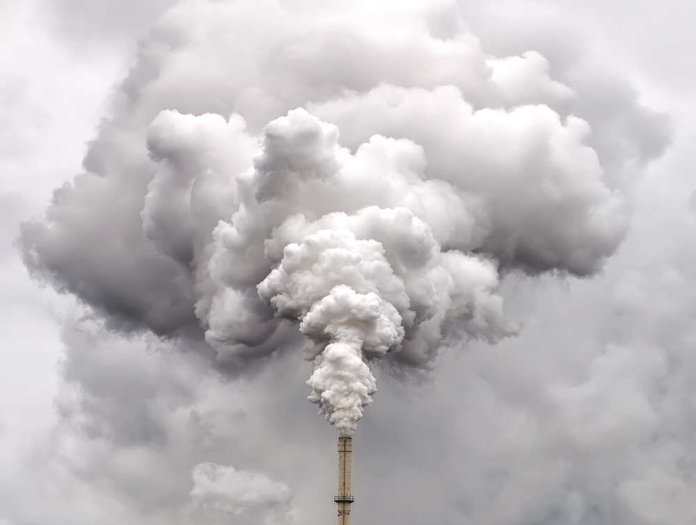 carbon risk management