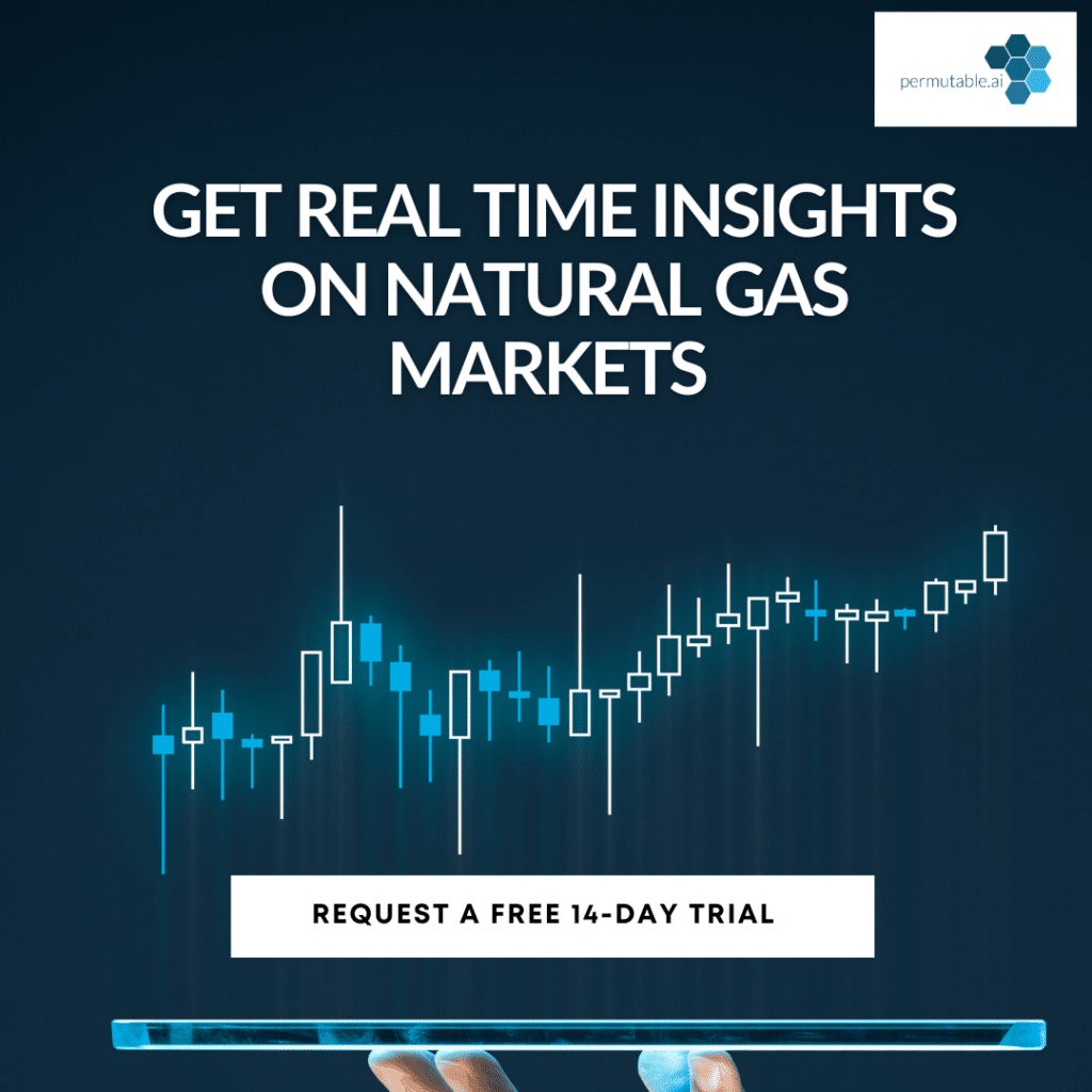 Natural gas market intelligence