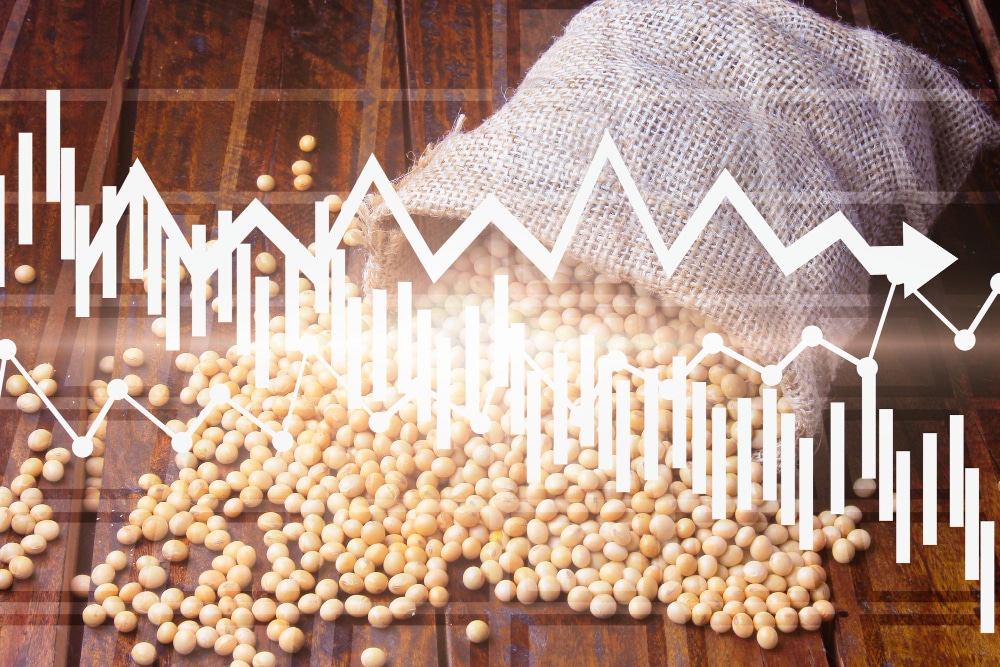 soybean prices