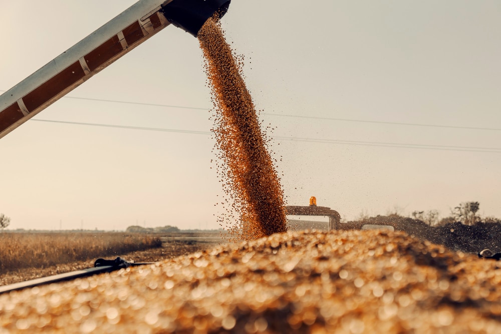 agricultural commodities market sentiment