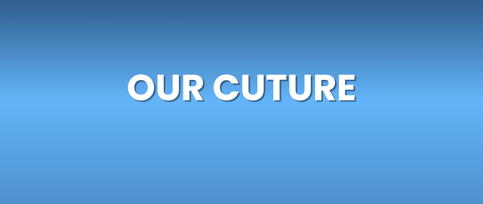 Careers in AI - culture