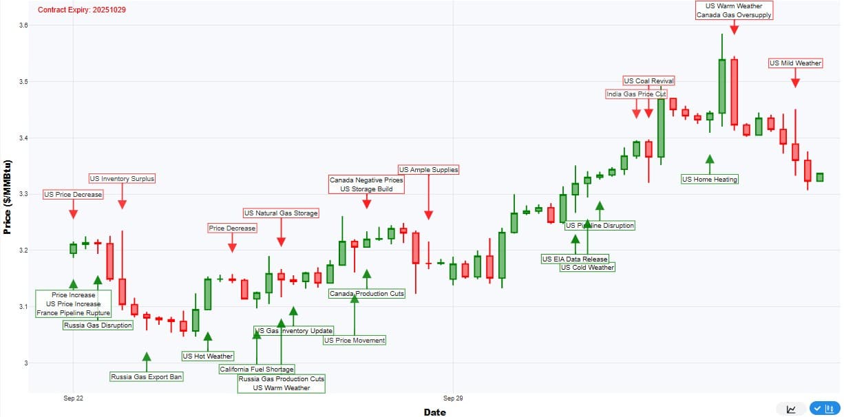 Permutable Henry Hub Price Chart Analysis